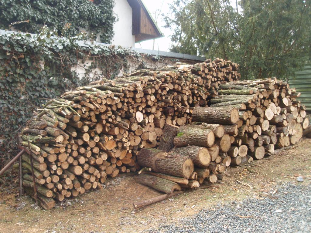 Palivové dřevo - akát 