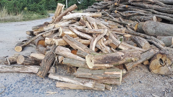 Palivové dřevo - akát 